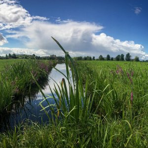 water, gras en blauwe lucht in Noorderpark Ruigenhoek