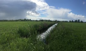 Weids boerenland in Noorderpark Ruigenhoek