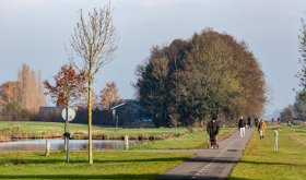 Wandelen in Noorderpark Ruigenhoek